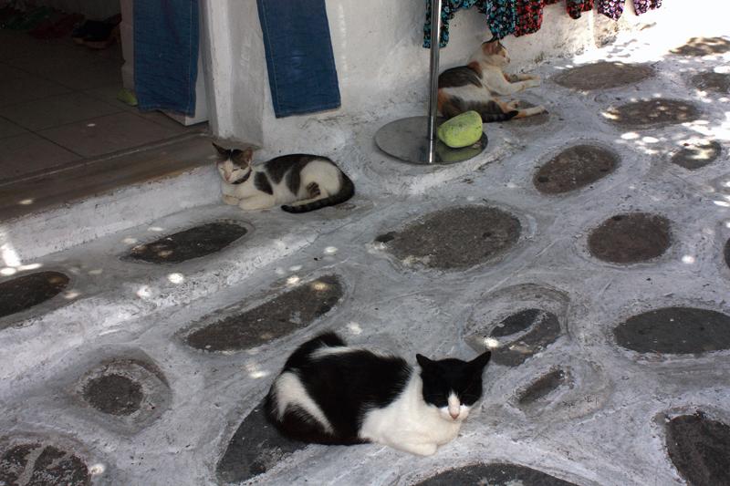36-Myconos,10 luglio 2010.JPG